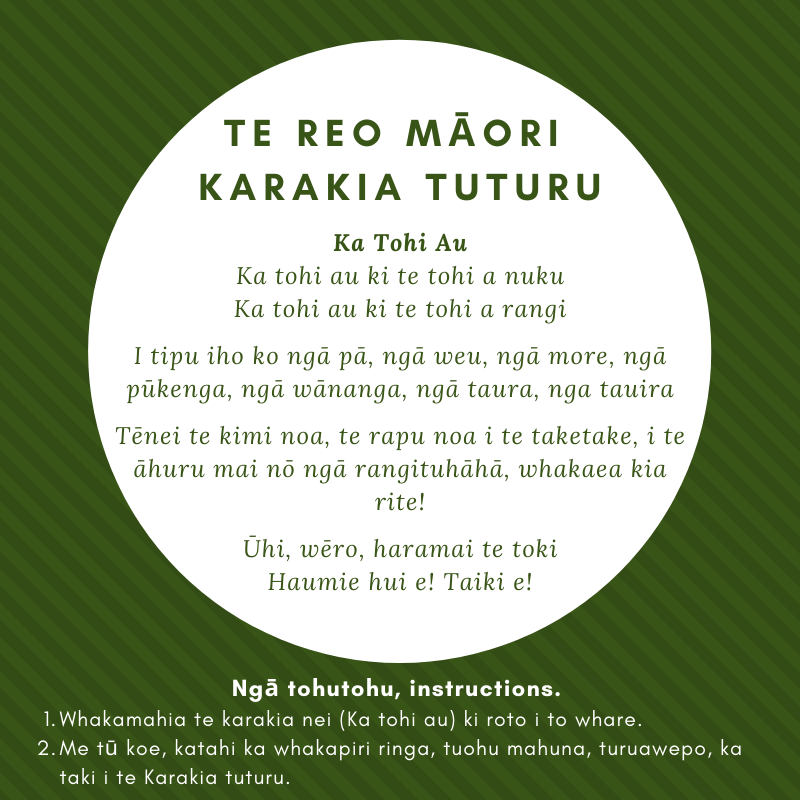 Te Kura o Tāneatua | Te Ara Akoranga o Te Kura o Tāneatua